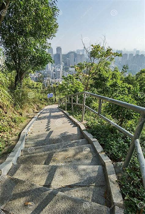 北山森林公園！緑豊かな自然と雄大な景色を満喫できる場所