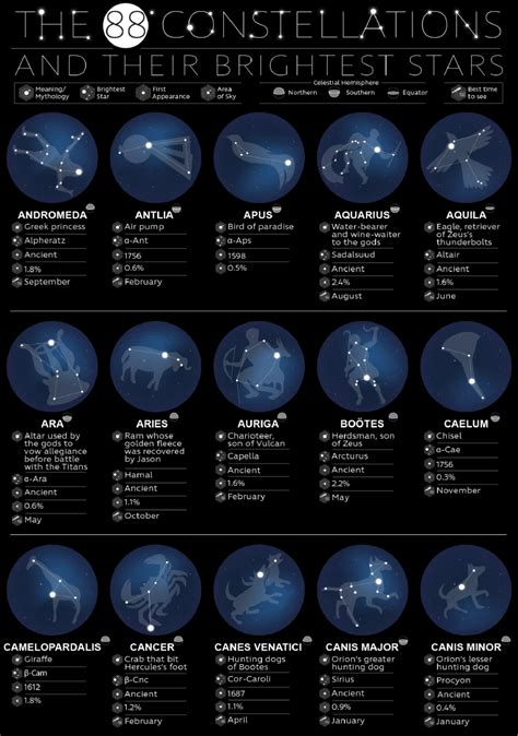 constellation 뜻: 별자리의 의미와 현대 사회에서의 상징성