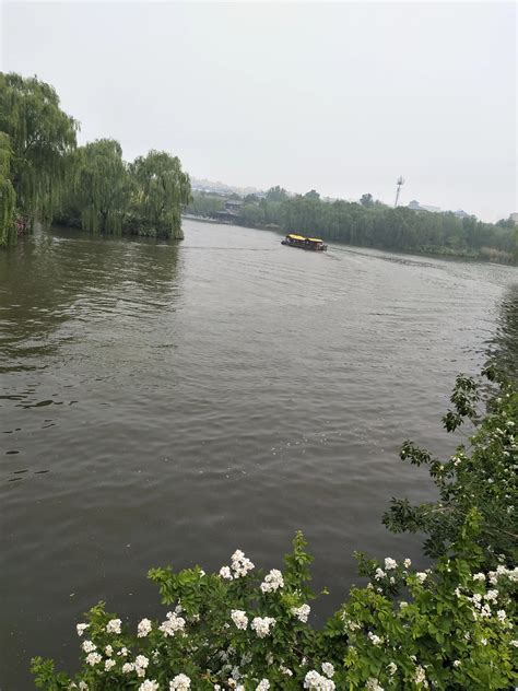 大明湖！壮大な景観と歴史の息吹に包まれる水辺の楽園