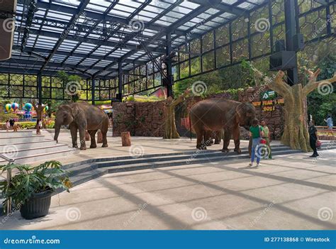   ゾー・カピタル！インドネシアの動物園で動物と触れ合おう！